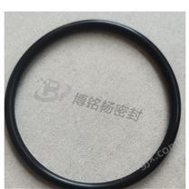 定制異型件醫(yī)療級FKM/FPM氟膠密封圈密封墊