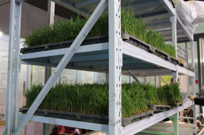 福建省对秧盘播种成套设备质量调查总体评价为一般或不满意的补贴产品实行临时封闭