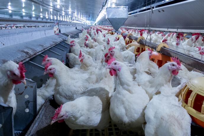 农业农村部召开全国现场会 部署深入实施种业振兴行动重点工作