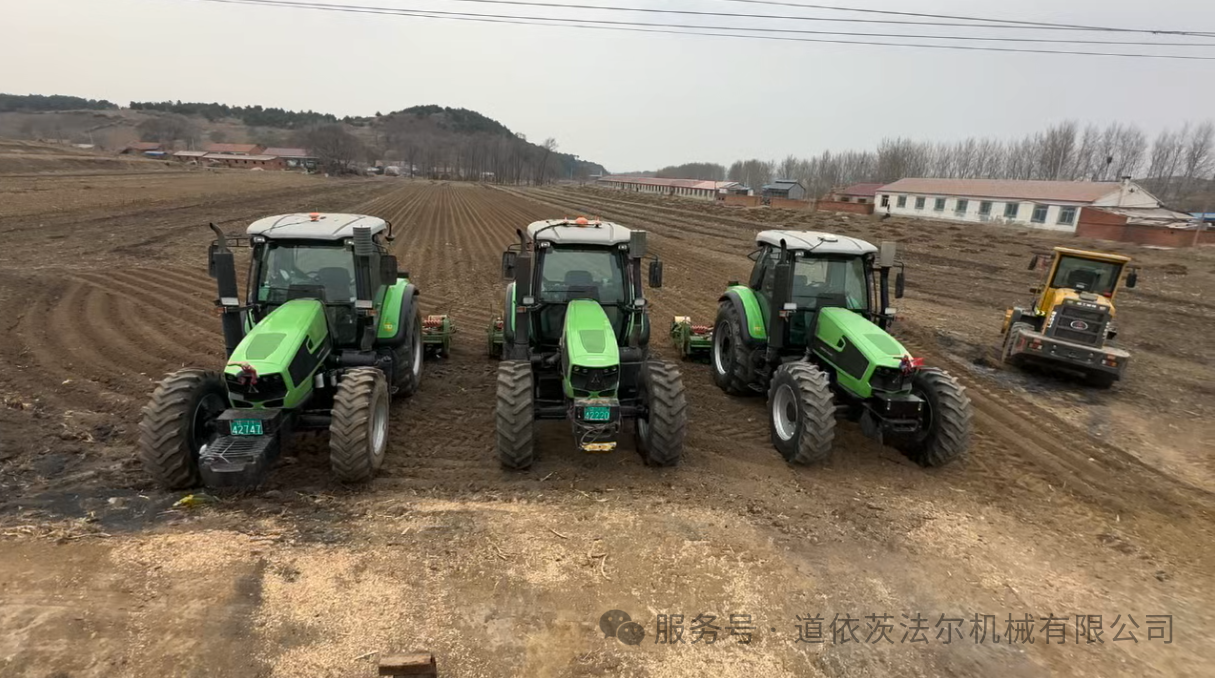 踏实赚钱才是真道理！道依茨法尔成为他的致富搭档