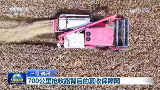 央視《新聞聯(lián)播》| 雷沃谷神跨區(qū)機(jī)手的700公里搶收路