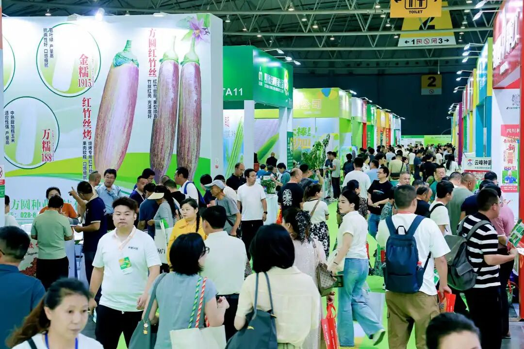 【完美落幕】第十二届成都种业博览会圆满收官!感恩同行,2027再启新程! 【完美落幕】第十二届成都种业博览会圆满收官!感恩同行,2027再启新程!
