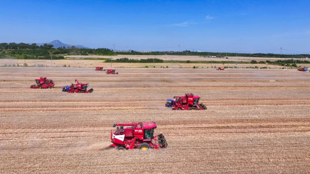 Intelligent protection of food security | Weichai Lovol technology empowers to win the Three Summer Defense War