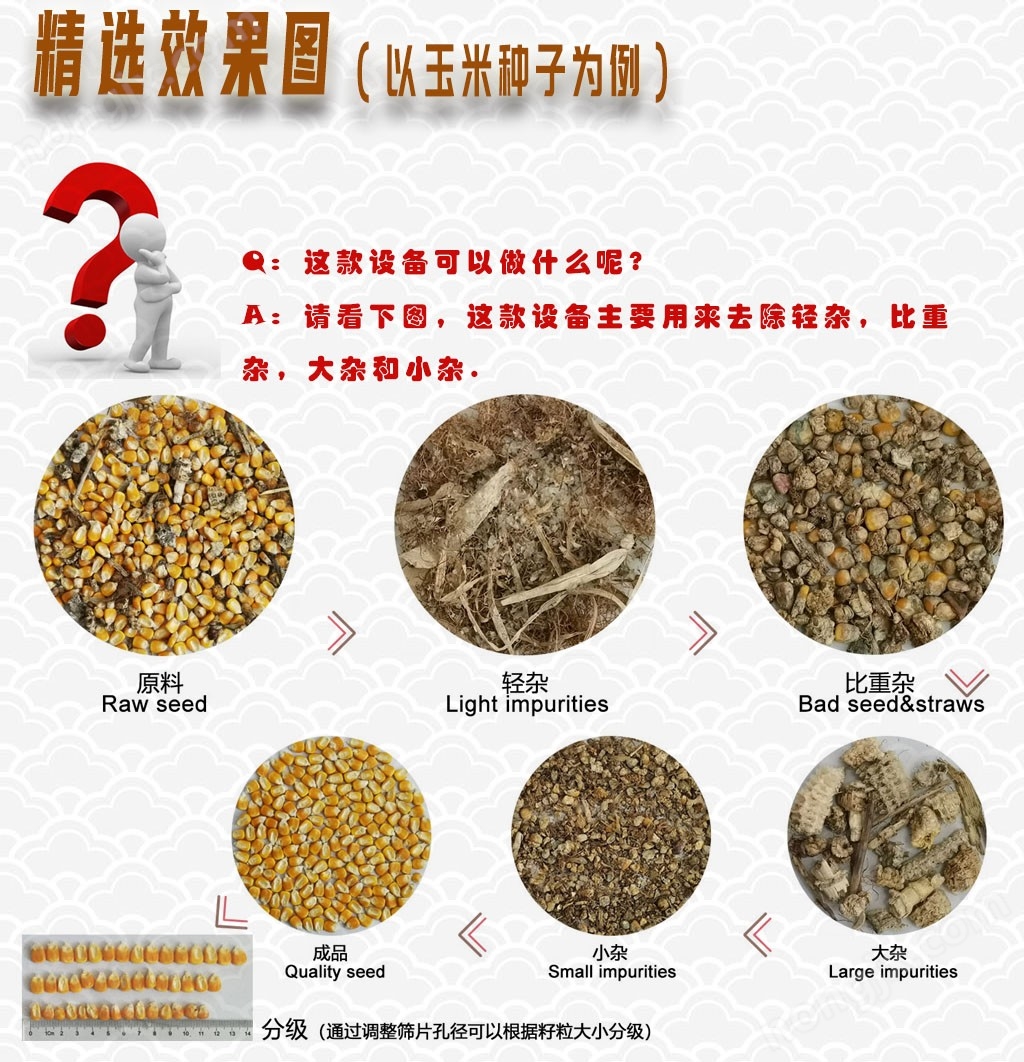 5-效果圖-玉米-FZ150.jpg 大產量玉米大豆精選雙比重篩糧食去雜清理篩