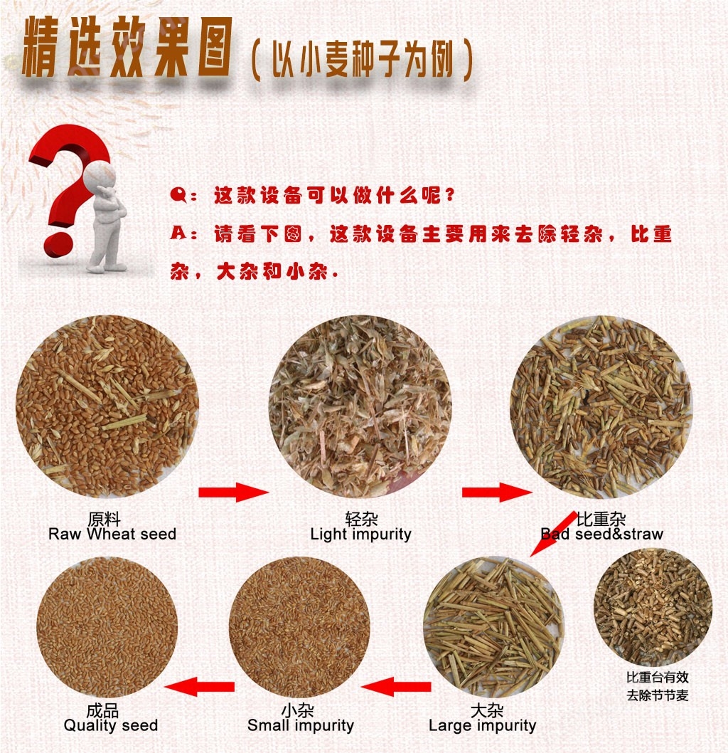 全新复合双风选筛选比重除杂去霉变精选机
