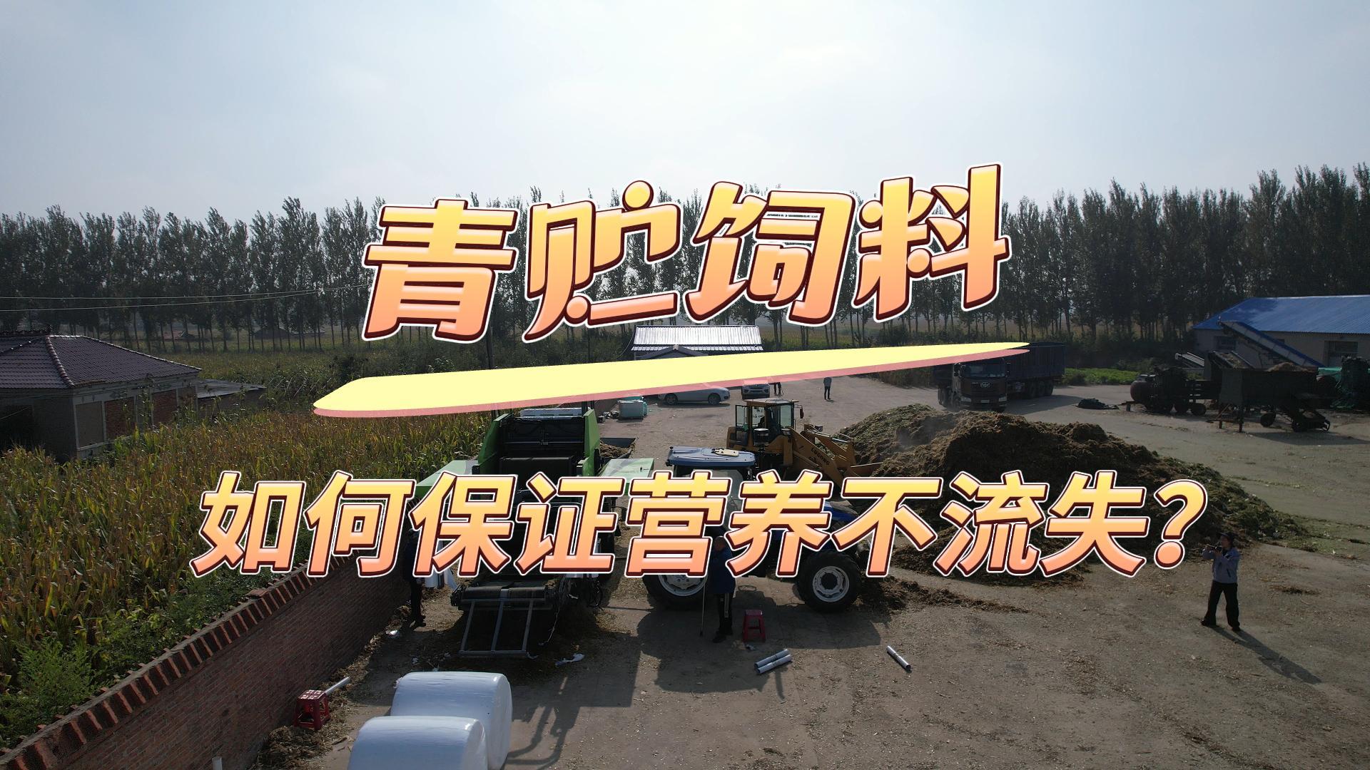 青貯飼料理想之選！順邦9YYC-115型青貯飼料打捆裹膜一體機