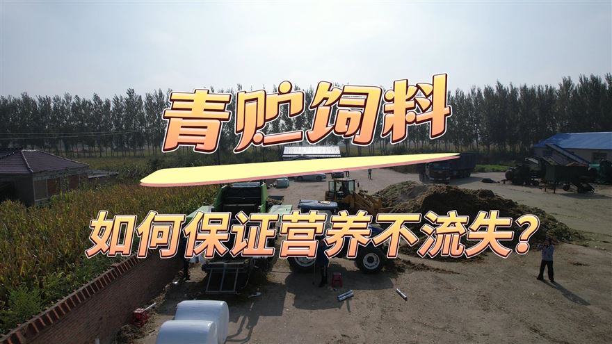 青貯飼料理想之選！順邦9YYC-115型青貯飼料打捆裹膜一體機(jī)